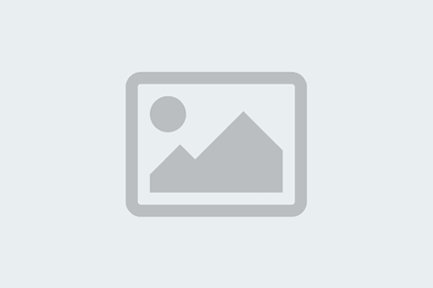 Contributing Editors